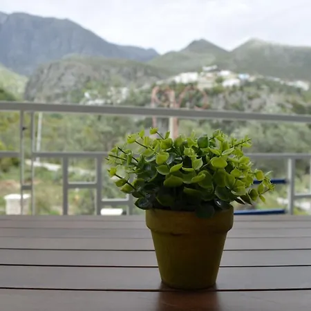La Palma Apartment *